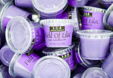 Field Of Lilac Mini Melt
