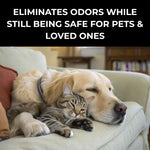 "Sundays" Carpet & Upholstery Deodorizing Powder